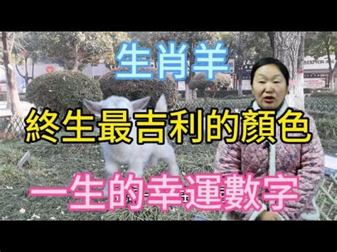 屬羊的幸運數字|【羊代表數字】屬羊者的幸運指南：羊代表數字揭秘，助你財源滾。